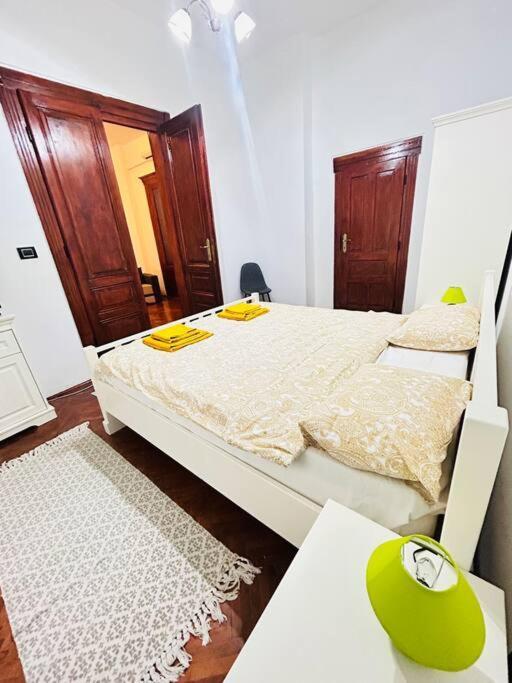 Hidden Gem In The Old Town Apartment Timisoara Exterior photo