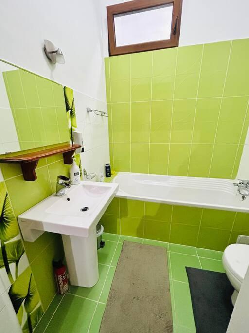 Hidden Gem In The Old Town Apartment Timisoara Exterior photo